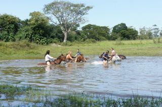 Swimming the horses at Sunray Farm on a Working Riding Holiday